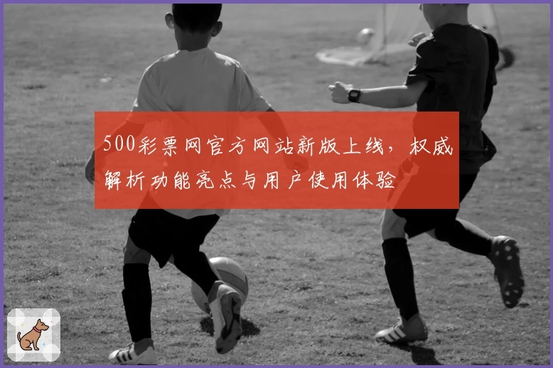 500彩票网官方网站新版上线，权威解析功能亮点与用户使用体验