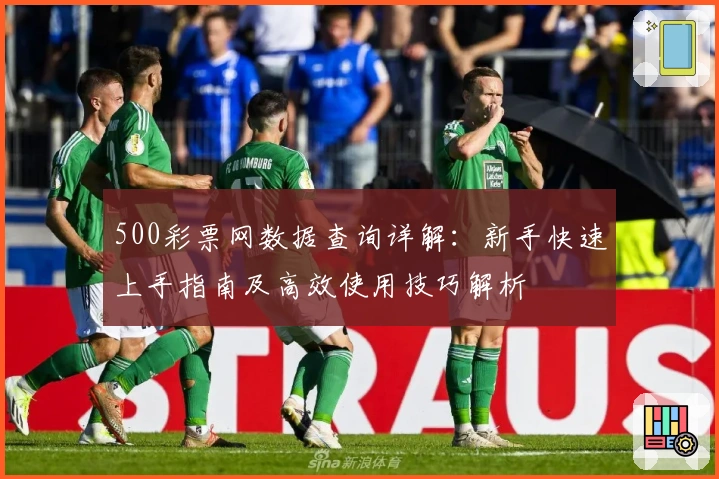 500彩票网数据查询详解：新手快速上手指南及高效使用技巧解析