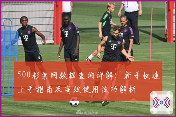 500彩票网数据查询详解：新手快速上手指南及高效使用技巧解析